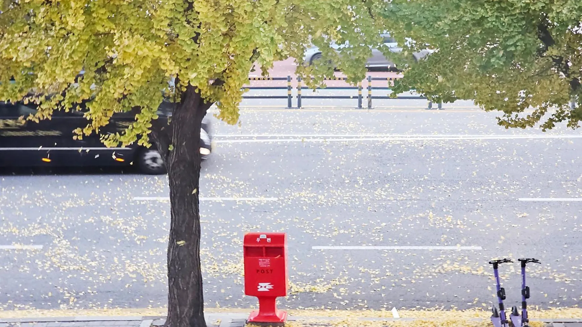 Hongik University Sinchon Sirince Σεούλ Νότια Κορέα