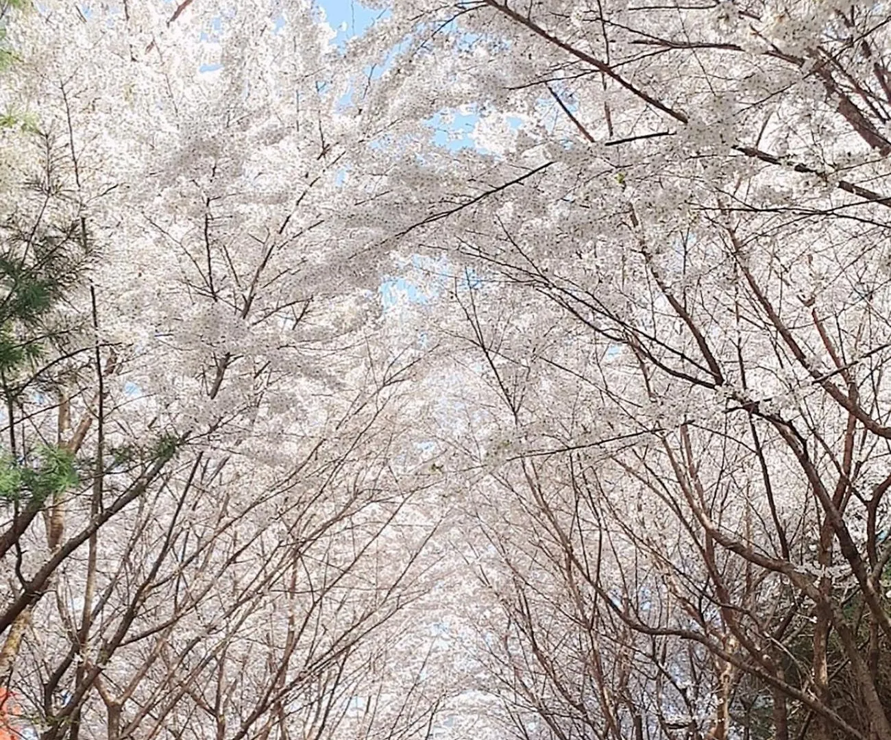 Hongik University Sinchon Sirince Σεούλ 0*,  Νότια Κορέα