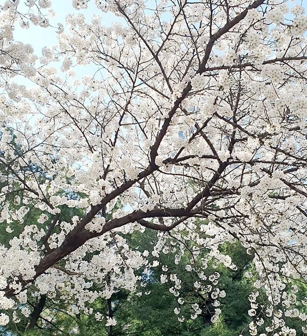 Apartmán Hongik University Sinchon Sirince Soul